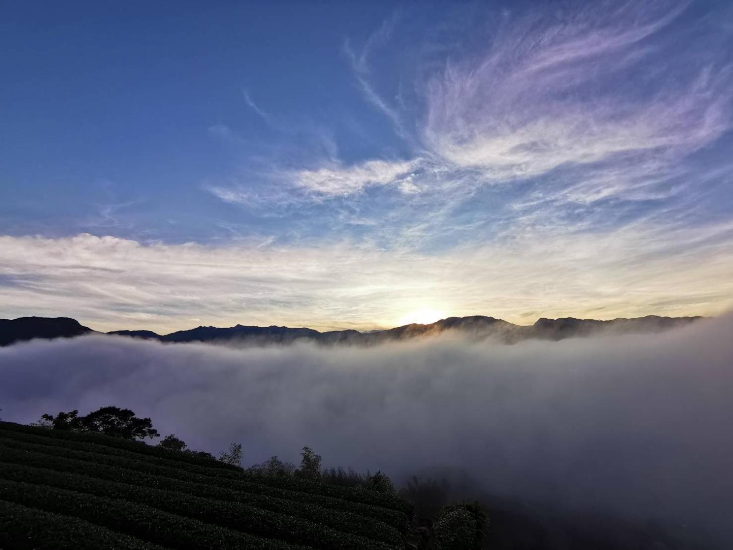 Alishan Tea Garden B&B Fenchihu Bagian luar foto