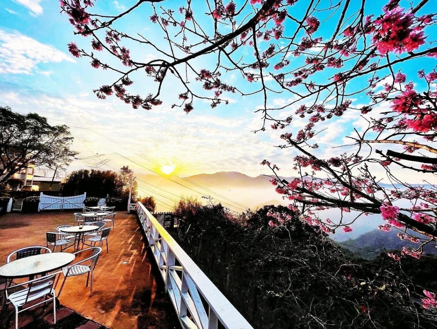Alishan Tea Garden B&B Fenchihu Bagian luar foto