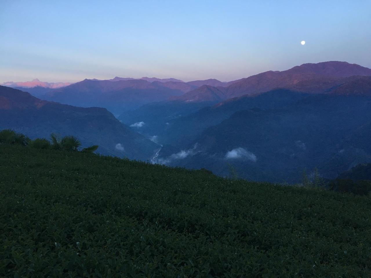 Alishan Tea Garden B&B Fenchihu Bagian luar foto